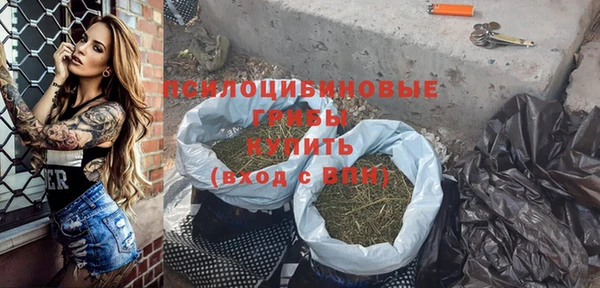 трава Осинники
