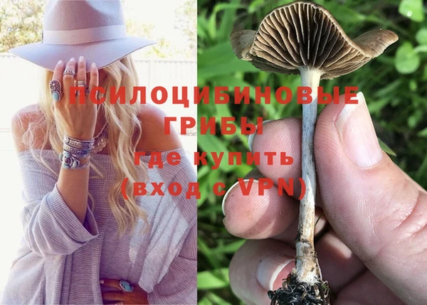 не бодяженный Армянск